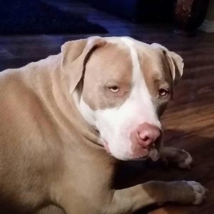 Meet your Posher, Carla